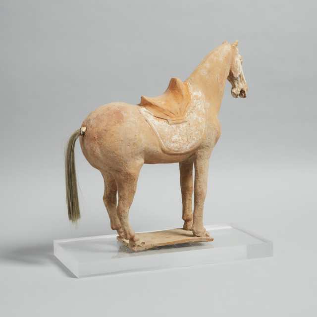 A Pottery Model of a Standing Horse, Tang Dynasty