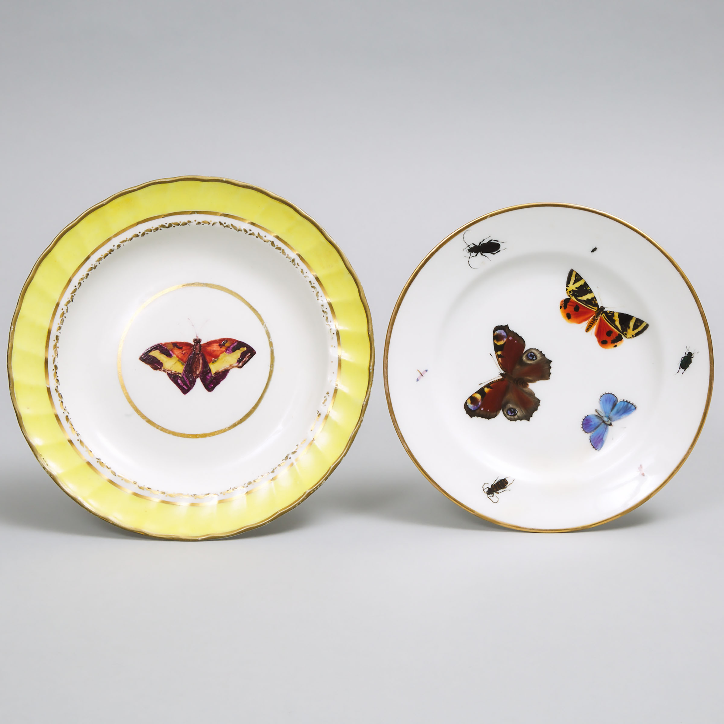 Derby Yellow-Banded Entomological Plate and Another, Paris, 19th century