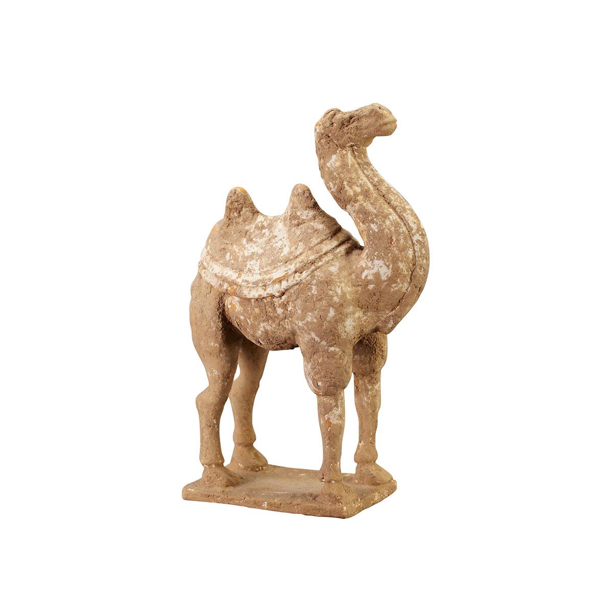 Pottery Camel, Tang Dynasty (618-907)