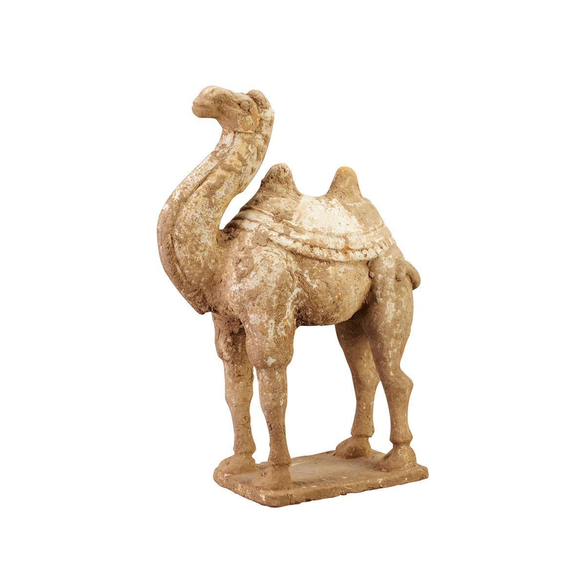 Pottery Camel, Tang Dynasty (618-907)