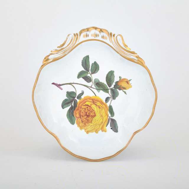 Derby ‘Double Yellow Rose’ Botanical Shell Dish, c.1815