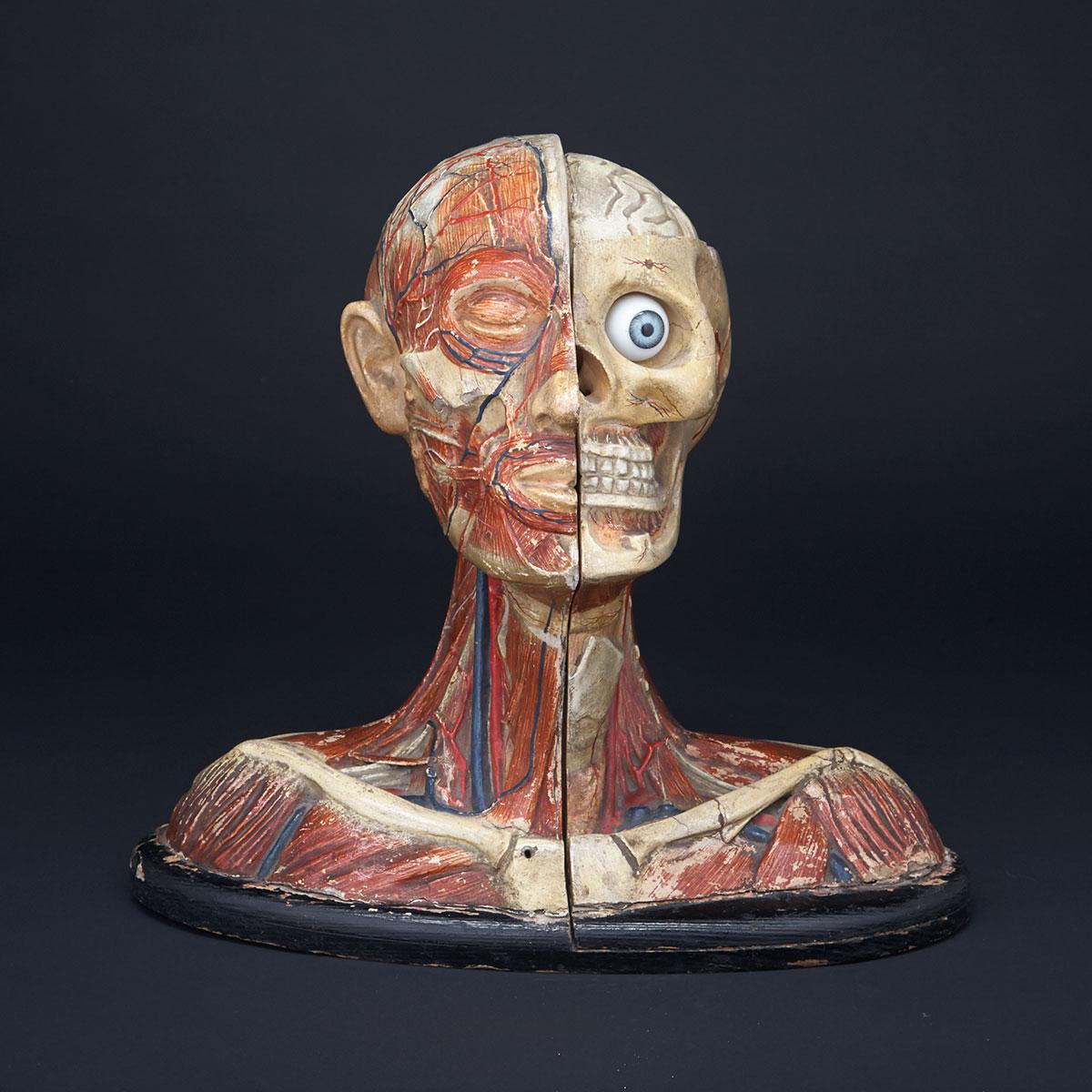French Polychromed Papier Maché, Glass and Wood Head and Shoulders Anatomical Study Ecorche, early 20th century