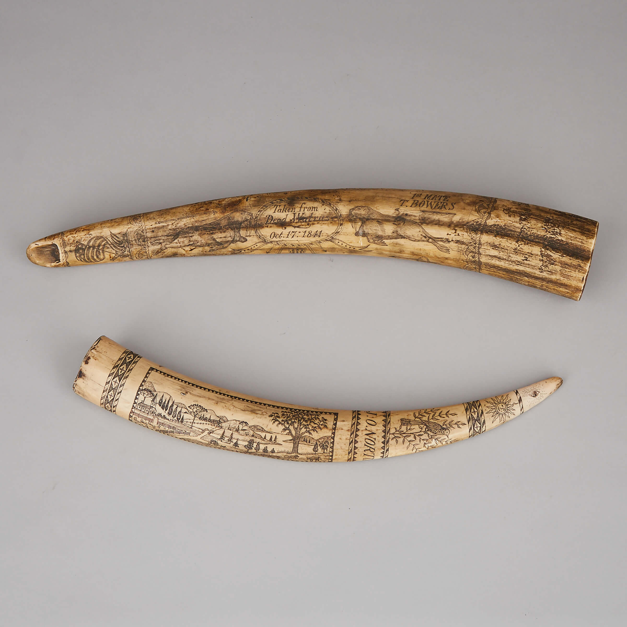 Two Replica Scrimshaw Resin ‘Walrus Tusks’, 20th century