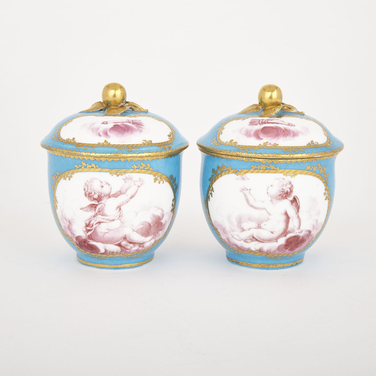 Pair of Sèvres Bleu Céleste Ground Sucriers and Covers, 18th century