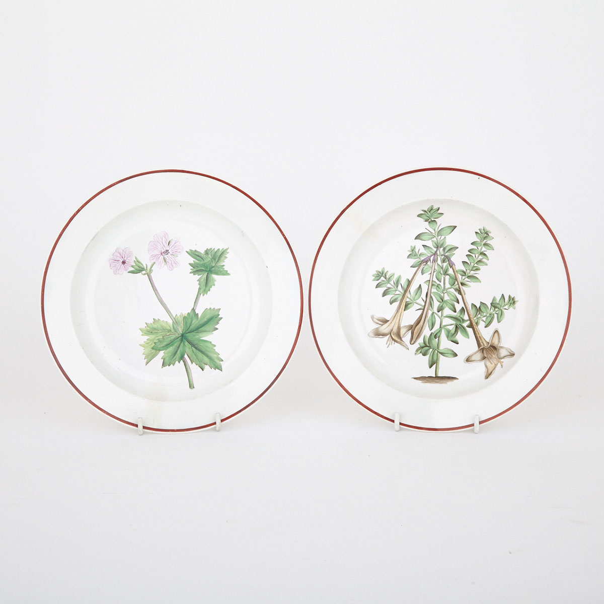 Pair of English Creamware Botanical Plates, c.1800
