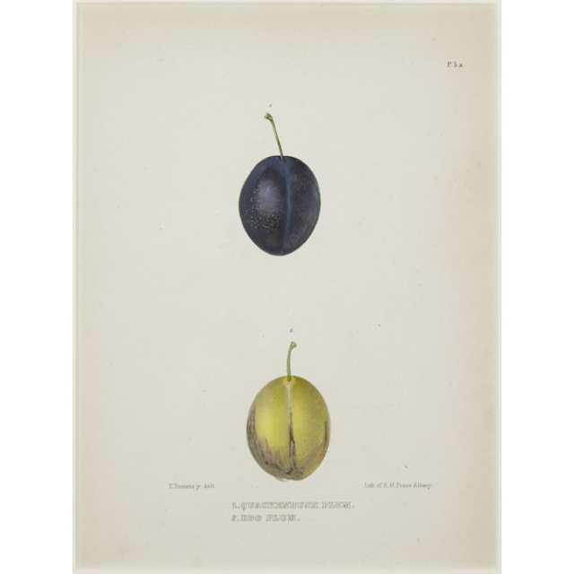 Set of Five American Chromolithographs of Fruit from ‘The Natural History of New York’ by Ebenezer Emmons, 1848
