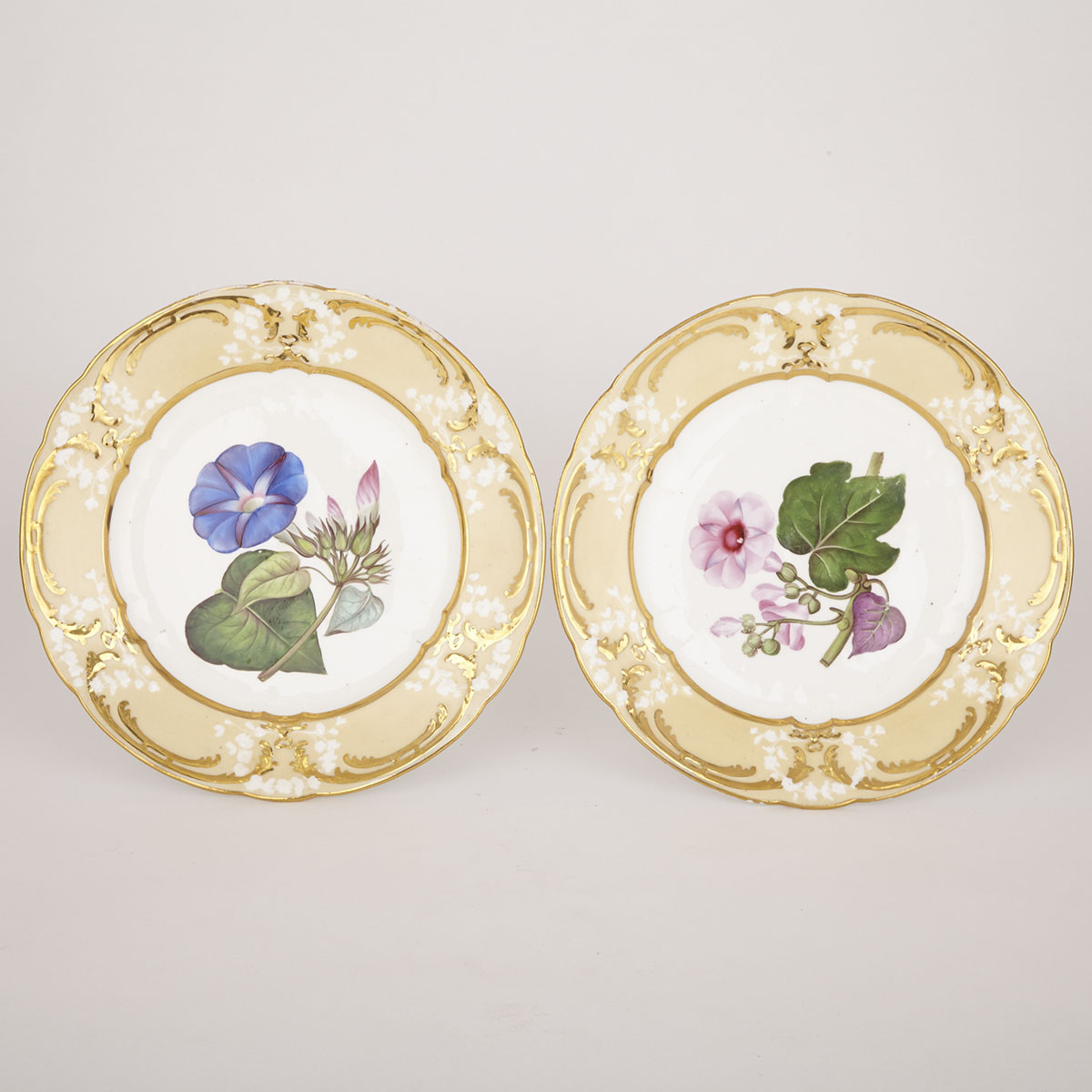 Pair of English Porcelain Botanical Plates, c.1825-30