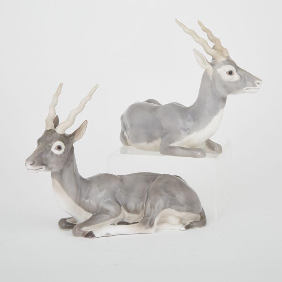 Pair of Bing & Grøndahl Models of Recumbent Gazelles, 20th century