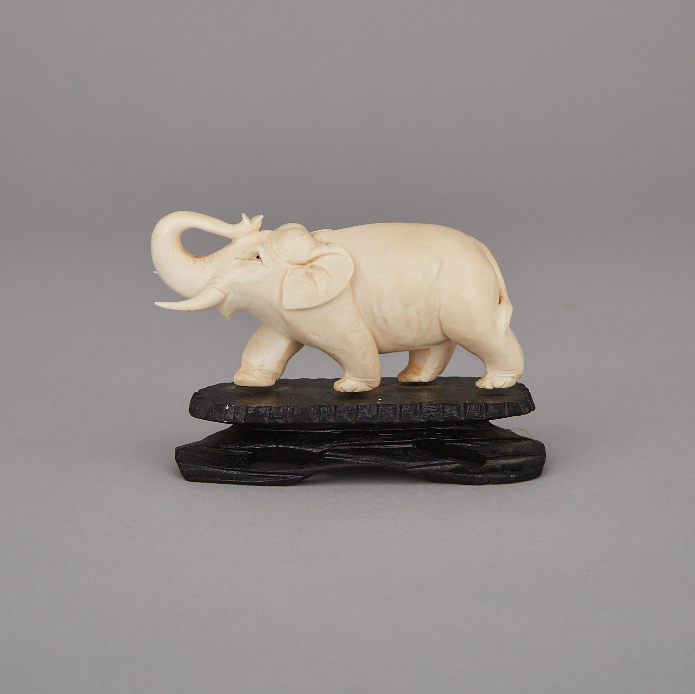 An Ivory Carved Elephant