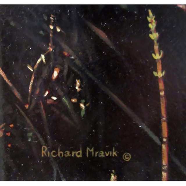 RICHARD MRAVIK (SLOVAKIAN-CANADIAN, 1973-)   