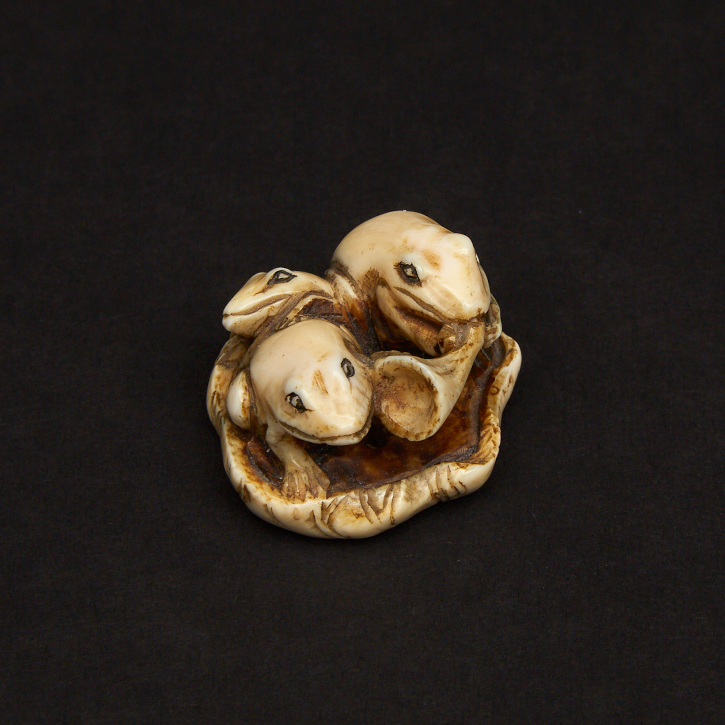 An Ivory Carved Netsuke of Frogs